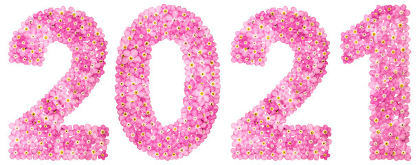 Numeral 2021 from pink forget-me-not flowers, isolated on white background