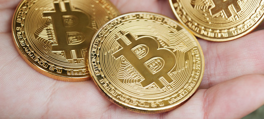  female hand holds three coins on the nature blur background. Panorama