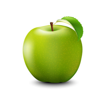 Vector Realistic Green Apple. Detailed 3d Illustration Isolated On White.