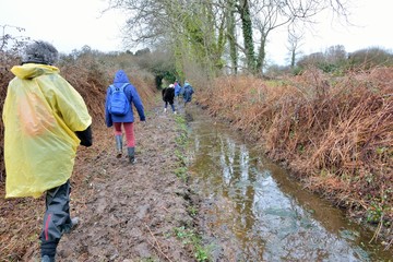 Des promeneurs sous la pluie