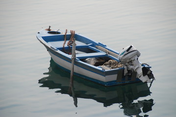 Fototapeta na wymiar Blaues Ruderboot im spiegelglattem Wasser