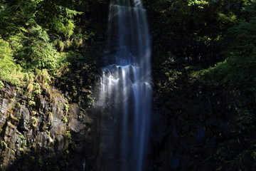Fototapeta na wymiar 木漏れ日が差す玉簾の滝　Tamadare Falls where the sunlight / Sakata, Yamagata, Japan