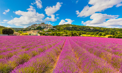 Naklejka na ściany i meble Simiane la Rotonde village and lavender panorama. Provence, France