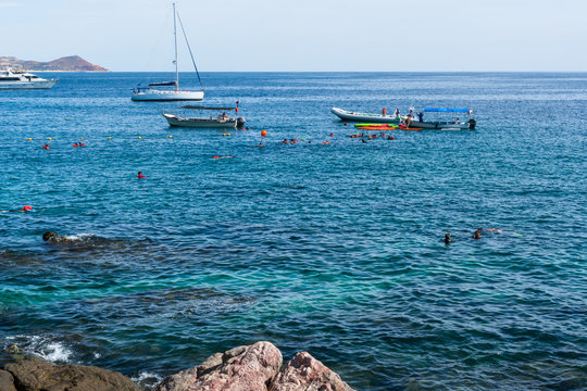 Muchas personas están buceando en la playa el Chileno de Baja California.
