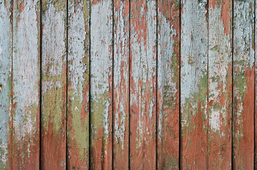 Fototapeta na wymiar Old weathered wood texture with cracked paint