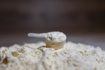 Fototapeta na wymiar Product photograph of spoon or measuring scoop of whey protein on grey wooden background. Dry mixture for dilution with milk or water. Whey protein scoop. Sports dietary nutrition.