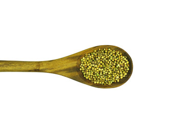 Coriander seeds in wooden spoon  on white background