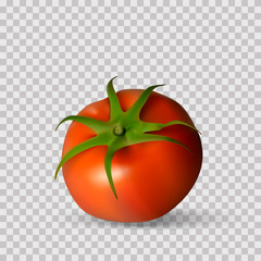 Red tomato. Whole Vegetables. Vector photorealism.
