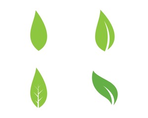  green leaf ecology nature element