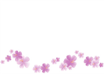 Flying light purple flowers isolated on white background. Apple-tree flowers. Cherry blossom. Border. Vector