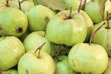 Guava fruit at street food