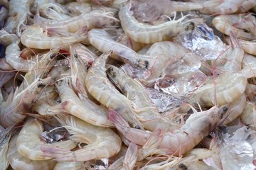 Fresh shrimp in market