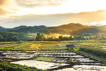 Fototapeta na wymiar terraces field with farmer Chiang Dao, Chiang Mai, Thailand