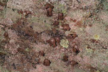 Stone 4