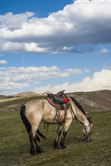 Bayanbulak Grassland, Xinjiang