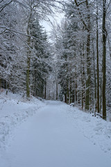 Straße in den verschneiten Winterwald, Sauerland