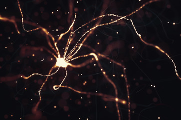 Neurons electrical pulses. Interconnected neurons with electrical pulses.