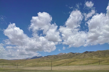 Scenery of the grassland, Xinjiang of China