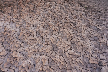 Crack soil texture background