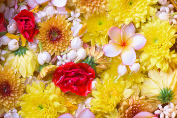 Colorful flower in water bowls decorating for Songkran Festival or Thai New Year