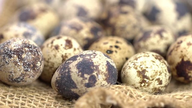 Uncooked quail eggs on burlap cloth. Rotating and closeup