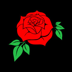Red rose on black background