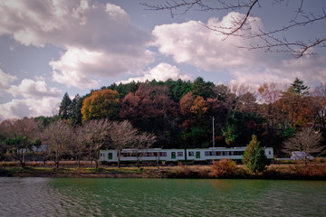 Naklejka premium 紅葉とローカル鉄道