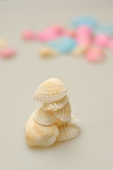 白い貝殻./貝殻を積み重ねてあります.