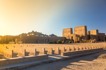 Fototapeta premium Philae temple in aswan on the Nile in Egypt
