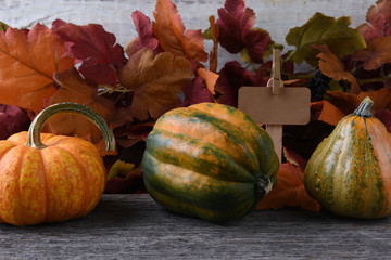 Autumn Farm Stand with gourds