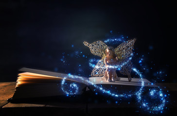 image of magical little fairy sitting on old story book.