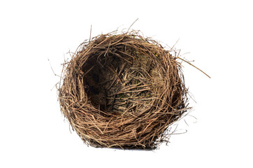 nest on a white background