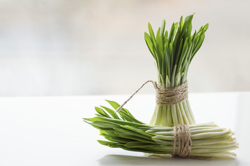 two tufts of young leaves of early spring fresh onions