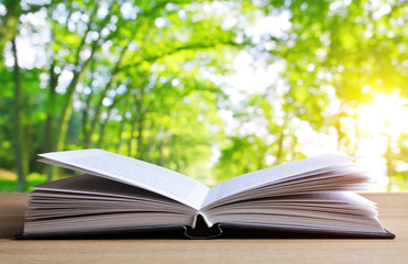 Open book on wooden plank over nature abstract light background.