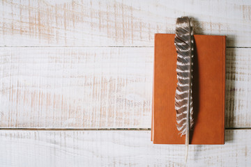 book and feather lie on a wooden table. top view. layflat