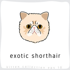 Cat breed collection : Vector Illustration