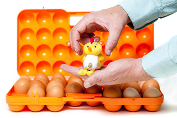 Yellow chick sitting on his hands over container with eggs