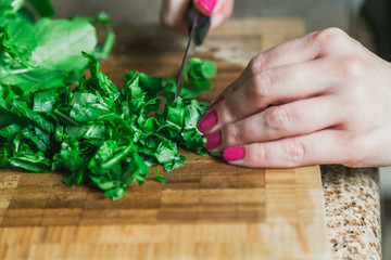Hands of woman cut green leaves of arugula
