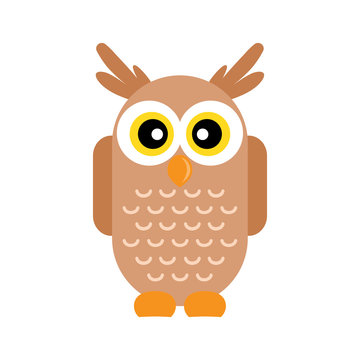 cartoon owl vetor image