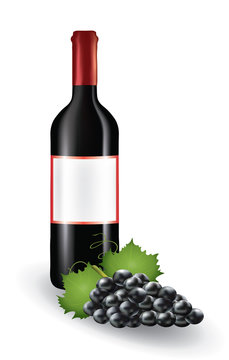 Wine bottle with grapes. vector illustration
