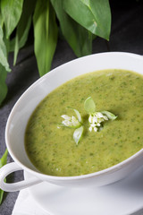 green wild garlic soup