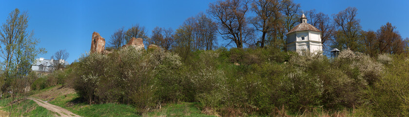 Ruins of Zawieprzyce castle, Poland