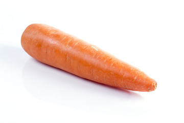 Carrot on white background