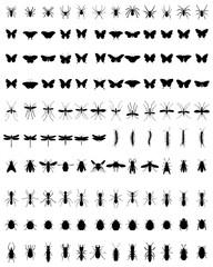 Fototapeta na wymiar Black silhouettes of different insects on a white background