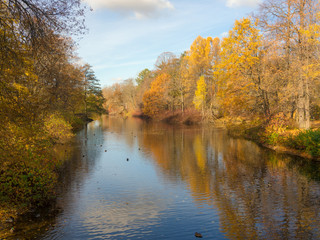 Fototapeta na wymiar river in an autumn park