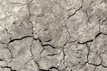 The texture of the earth with cracks in the sun
