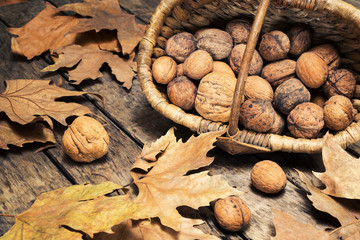  walnut background