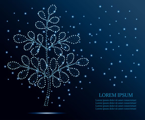 Fototapeta premium Moringa, polygon, blue stars 1