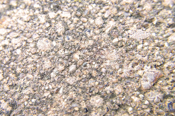 Texture of granite stone close-up