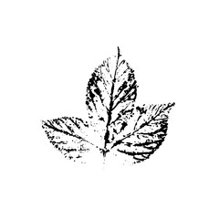 Vector leaf imprint